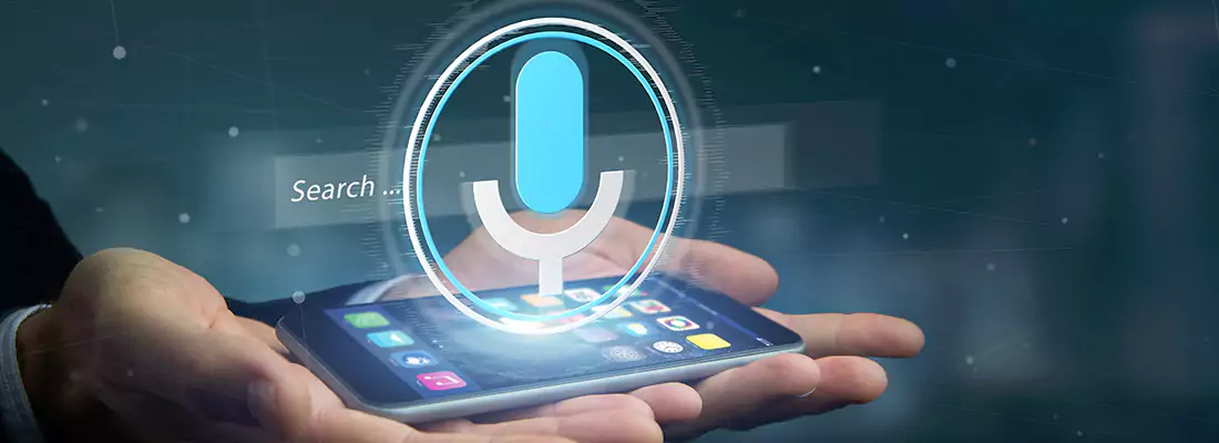 Enhance Security with Voice Recognition Access Systems in North Miami, FL