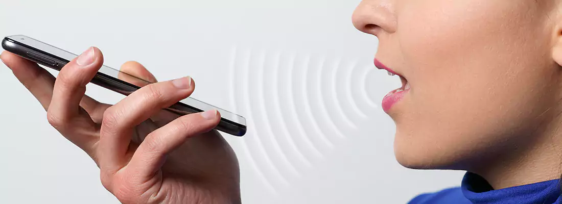 Residential and Commercial Voice Recognition Access Solutions in North Miami, FL